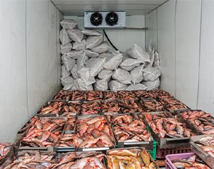 肇慶海鮮低溫冷庫多少錢？