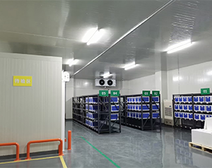 建造醫(yī)療器械冷庫溫濕度要求多少度合適？