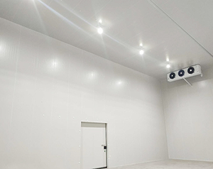 2000噸冷庫應(yīng)該建多大？造價(jià)成本投資多少錢？