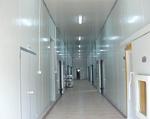 建造一般的低溫倉(cāng)庫(kù)造價(jià)費(fèi)用需要多少錢？