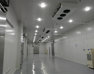 gsp醫(yī)藥冷庫(kù)(疫苗冷庫(kù))建造多大面積合適