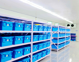 3000㎡醫(yī)藥物流冷庫(kù)（藥品冷鏈恒溫庫(kù)）安裝價(jià)格多少錢(qián)一平米