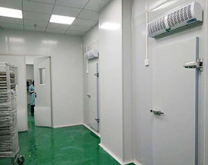 凈化冷庫工程造價標準規(guī)范，凈化車間冷庫溫度要求