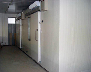 速凍冷庫建設(shè)中的費用預(yù)算和成本控制