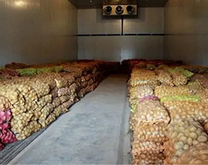 如何對(duì)蔬菜保鮮冷庫(kù)進(jìn)行更加精確的溫度和濕度控制