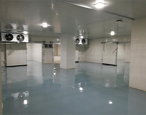 -30℃~-80℃干細(xì)胞冷庫(kù)（醫(yī)藥庫(kù)）定制安裝成本是多少？