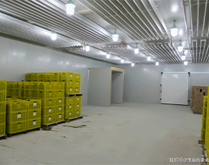 60噸大白菜在保鮮庫可以儲(chǔ)存多久，貯藏溫度是多少？