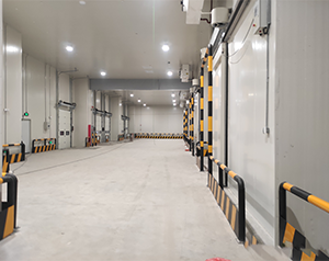 果蔬進入冷庫前如果溫差過大，必須進行預冷處理