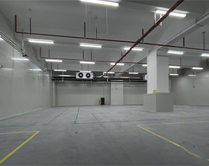 氣調(diào)保鮮庫經(jīng)濟(jì)效益如何？