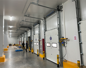 怎樣在冷庫內(nèi)種圓菇