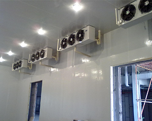 粉絲冷庫（紅薯、綠豆）建造&mdash;紅薯粉條冷庫安裝注意事項