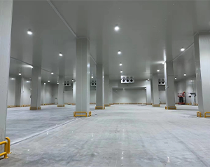 天津冷庫補貼標(biāo)準(zhǔn)_冷庫安裝補貼政策