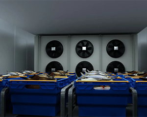 亂世之秋 生鮮電商如何突圍？