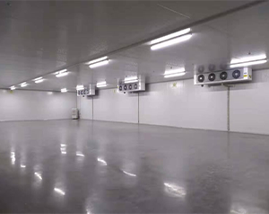 醫(yī)藥自動(dòng)化冷庫管理制度