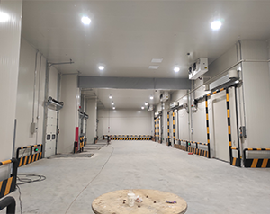 保鮮食品冷庫定制標(biāo)準是什么？