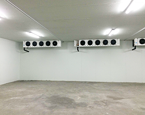 水產(chǎn)冷庫造價標準多少錢？水產(chǎn)海鮮冷庫定制安裝方案