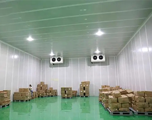 5000立方的倉(cāng)儲(chǔ)物流冷庫(kù)能儲(chǔ)存多少的貨物？