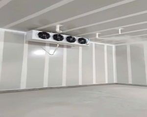 陜西大型氣調(diào)冷庫(kù)定制安裝需要多少錢？