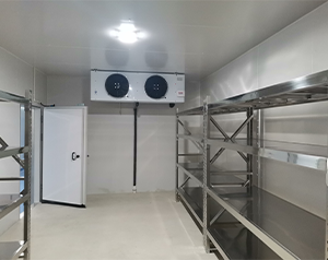 海南酒店廚房雙溫冷庫設(shè)計怎么做？