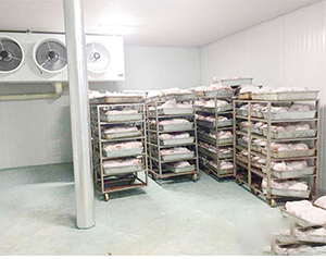 屠宰場(chǎng)冷鏈物流設(shè)施項(xiàng)目實(shí)施方案