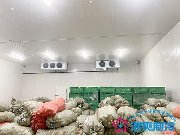 100噸冷庫和100平方冷庫哪個造價更低？