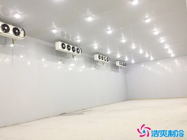 建一個能放50萬穗玉米的冷庫造價要多少錢