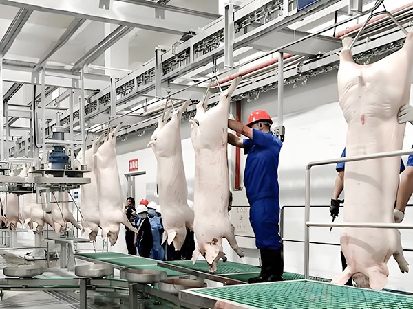 畜禽屠宰冷庫(kù)和肉類低溫冷庫(kù)的造價(jià)區(qū)別