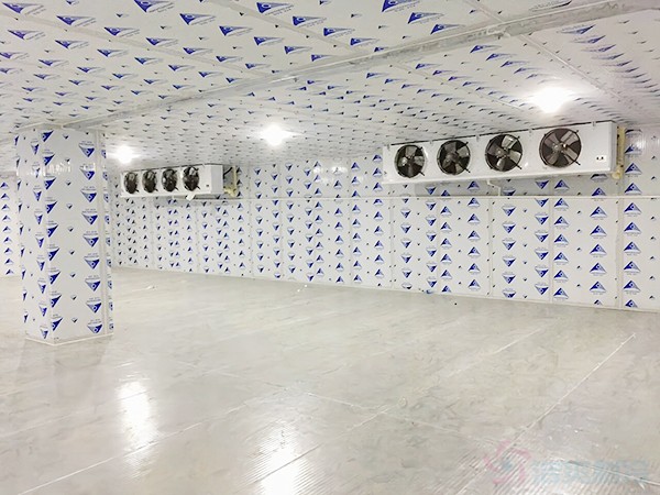 建一個冷凍庫造價需要多少錢一平方？