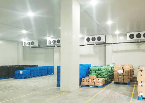 8000立方大型食品冷庫(kù)造價(jià)