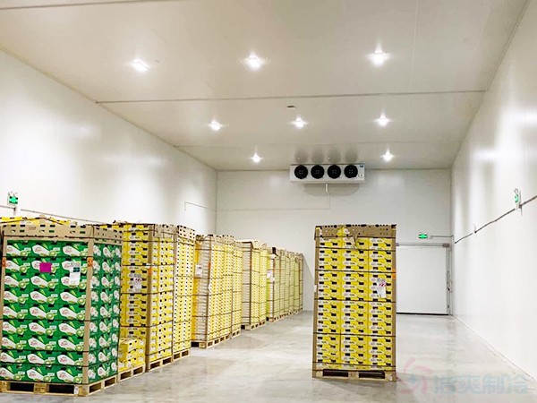 安裝200平米的保鮮庫造價