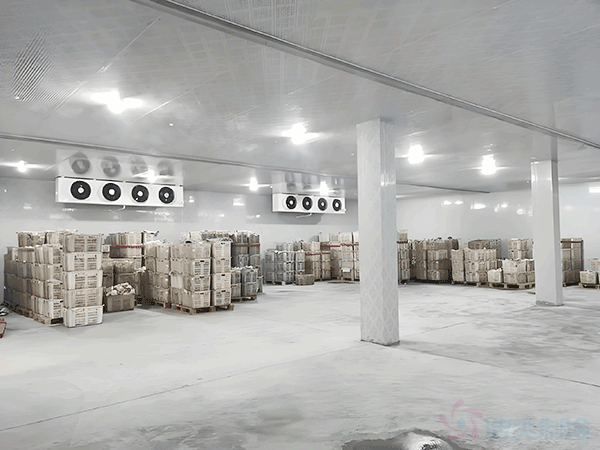 冷庫改造供應商