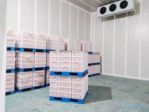 冷庫安裝價格多少錢