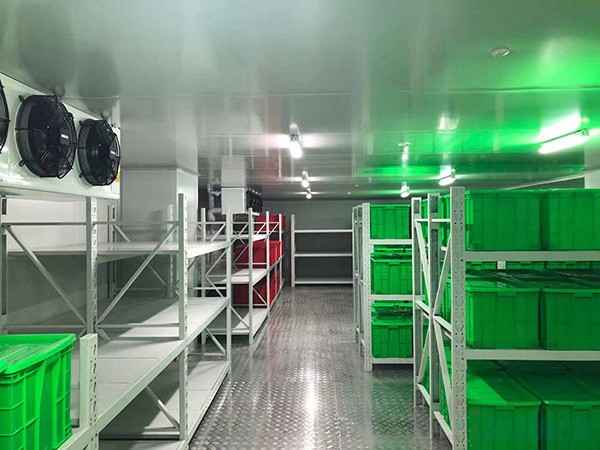 上海藥品冷鏈物流冷庫建造