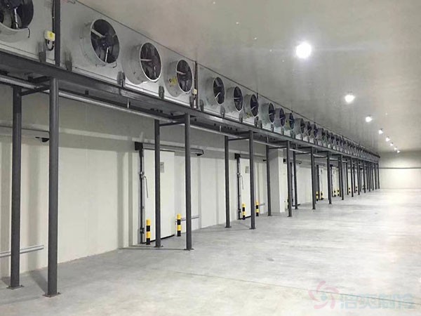 浙江大蒜冷藏庫(kù)建造安裝