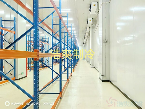河北2-8℃醫(yī)藥標(biāo)準(zhǔn)冷庫設(shè)計多少錢？