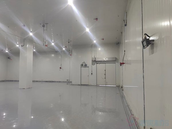 防爆醫(yī)藥冷庫設計