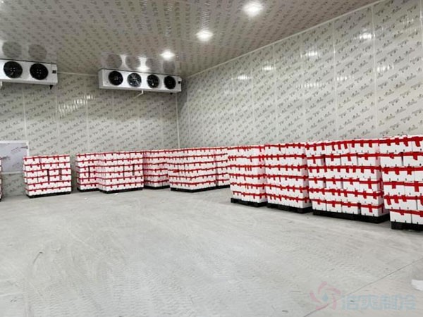 水果冷庫自動(dòng)化