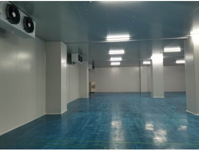 伊利乳業(yè)高標(biāo)準(zhǔn)乳制品加工冷鏈倉(cāng)儲(chǔ)冷庫(kù)建造工程案例