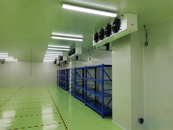 -20℃gmp冷庫