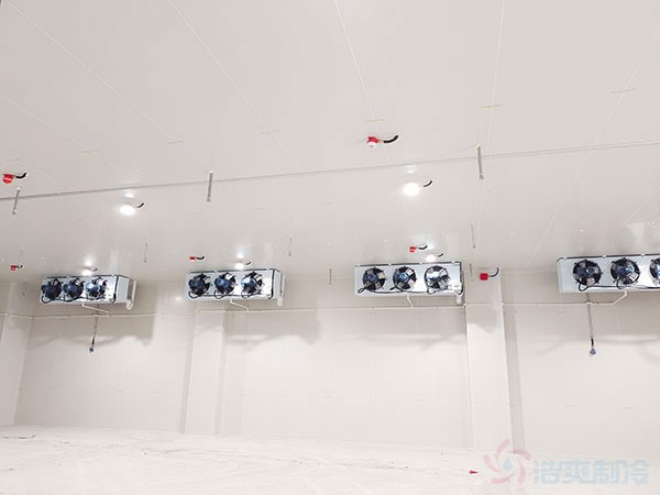 雙溫防爆冷庫(kù)建造