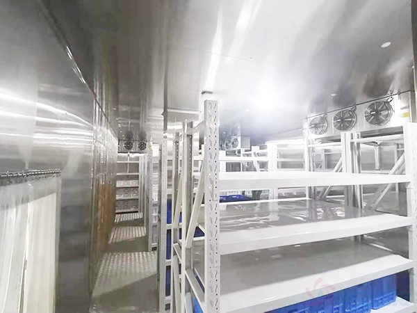 醫(yī)院防爆冷庫